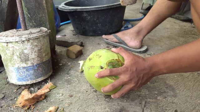 Close-up of a person peeling and opening a fresh young green coconut with a large sharp machete