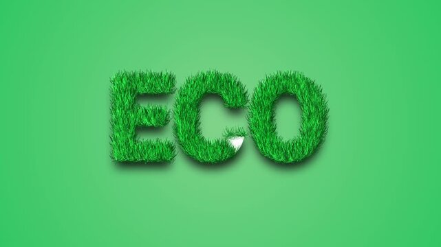Green grass eco text animation on light green background. Natural typography made of grass symbolizing ecology, organic food, sustainable products, environmental protection and green lifestyle concept