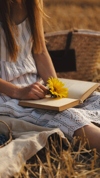 Young woman enjoying a peaceful moment reading a book with a sunflower in a golden field