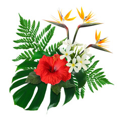 Hibiscus, strelitzia and plumeria flowers with green tropical leaves on white background © New Africa