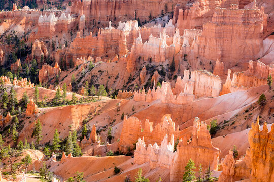 Hoodoos seen from Sunrise Point in Bryce Canyon National Park, Utah