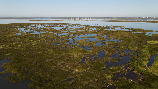 Aerial view of Puxadouro near the Aveiro Lagoon at Ovar in Portugal