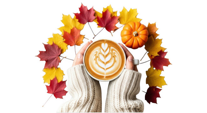 Hands holding coffee with leaves isolated on transparent background