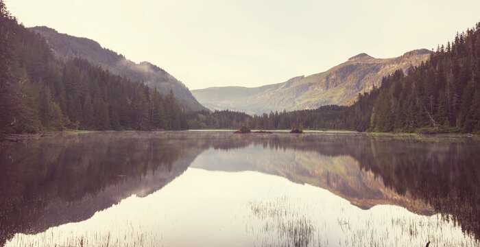 Summer lake