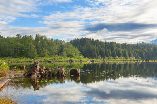 Summer lake