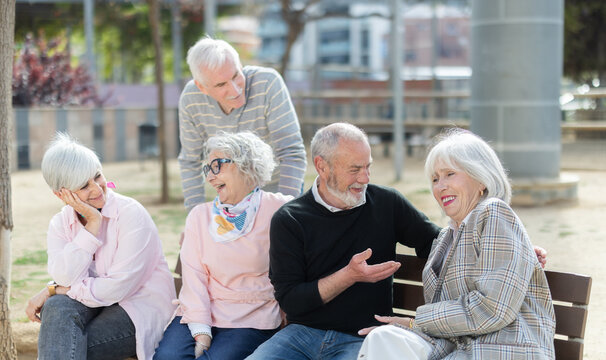 Group of elderly men and women sitting on bench in park and having nice conversation. Company of friends or colleagues, have conversation and discussion, chatting.