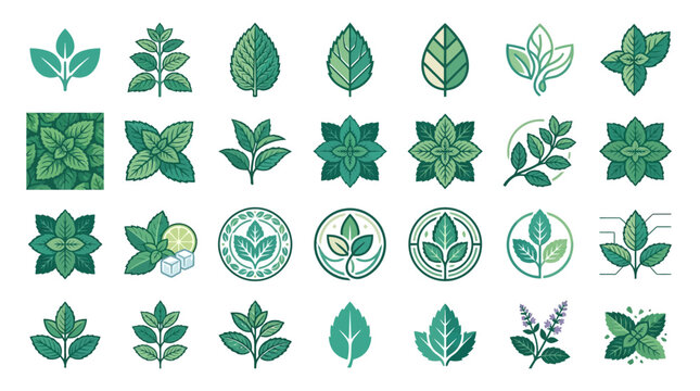 Circular mint leaf emblems and herbal brand marks.