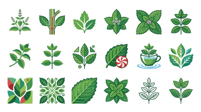 Assorted stylized mint leaf and peppermint herb collection.