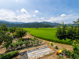 鳥取県八頭郡八頭町の畑と田園風景 © しょこまろん