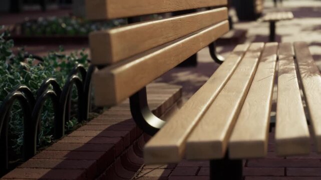 A wooden bench sits on a brick pathway in a public park. Green plants are nearby, and sunlight shines down on the scene. People might walk by or sit on the bench.