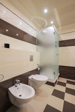 Bathroom interior with toilet and bidet