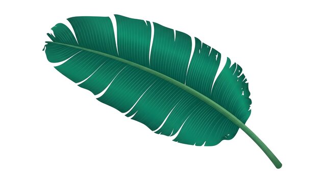Tropical Banana Leaf Vein Texture &mdash; Emerald Green Tropical Aesthetic Lush Vector