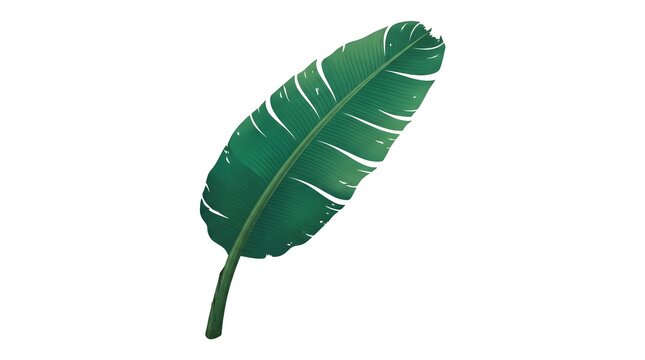 Tropical Banana Leaf Vein Texture &mdash; Emerald Green Tropical Aesthetic Lush Vector