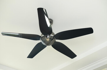 Modern Black Ceiling Fan Mounted on White Ceiling for Indoor Ventilation © TeacherPhoto