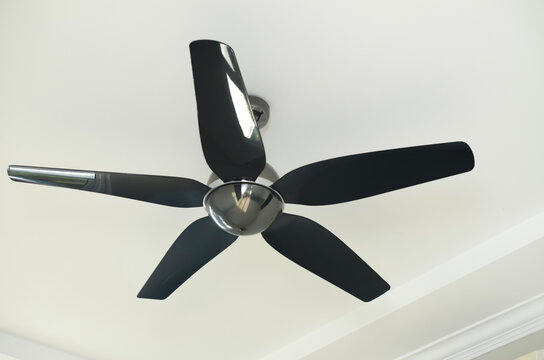 Modern Black Ceiling Fan Mounted on White Ceiling for Indoor Ventilation