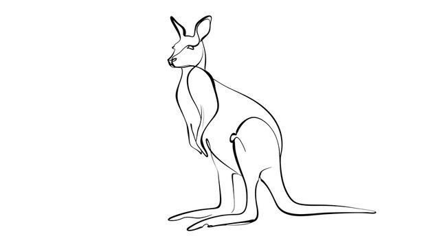 Minimalist kangaroo line drawing white background.