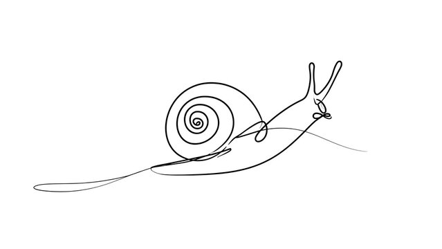 Minimalist snail line art drawing white background.
