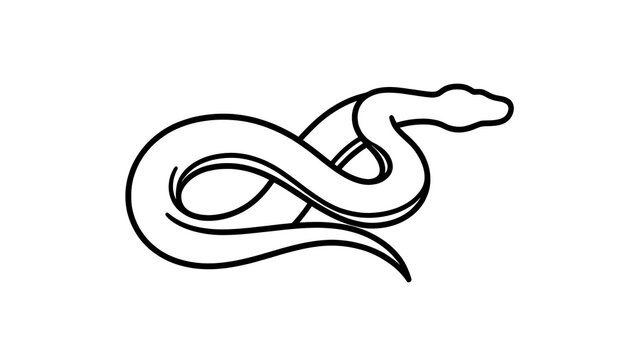 Minimalist snake line art illustration white background.