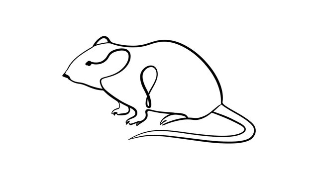 Simple line drawing of a mouse white background.