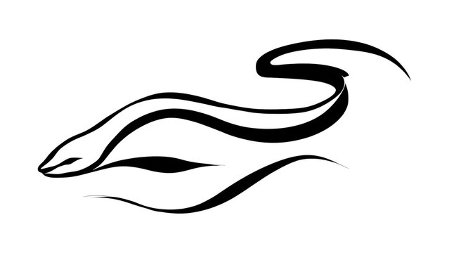 Elegant snake line art illustration white background.