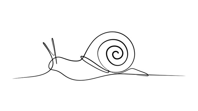 Minimalist snail line art illustration white background.