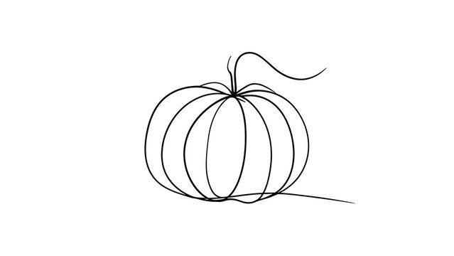 Minimalist pumpkin line art drawing white background.