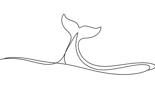 Minimalist whale tail line art white background.