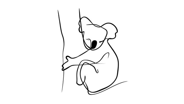 Cute koala illustration on white background.