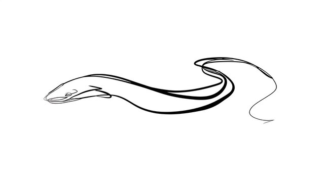 Elegant snake line art illustration white background.