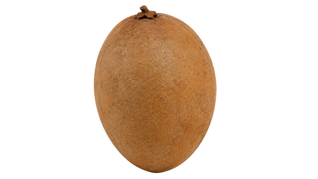 Sapodilla Fruit Isolated on Transparent Background