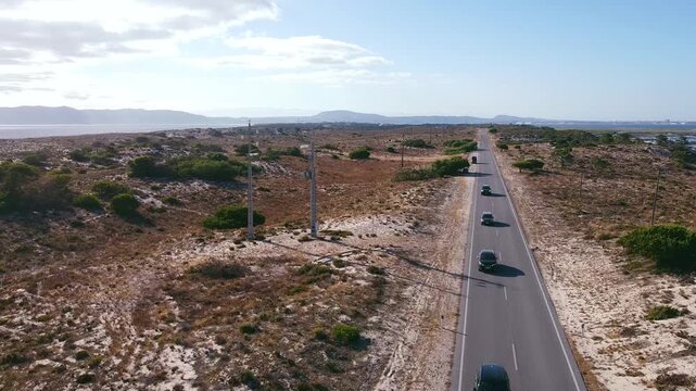 Comporta road side aerial view, Portugal