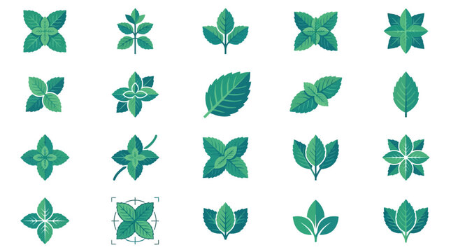 Minimalist green mint leaf icons and plant symbols.