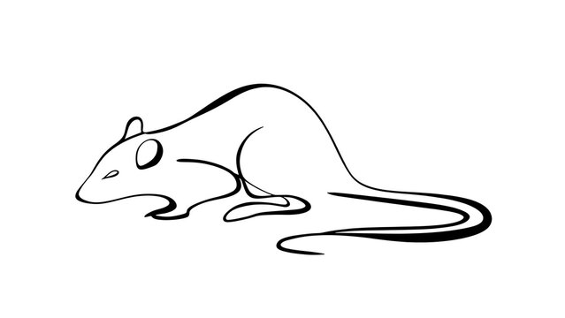 Minimalist rat illustration on white background.