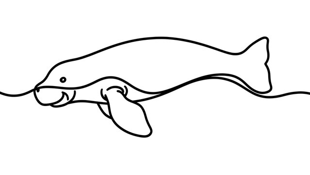 Minimalist dugong line art illustration white background.