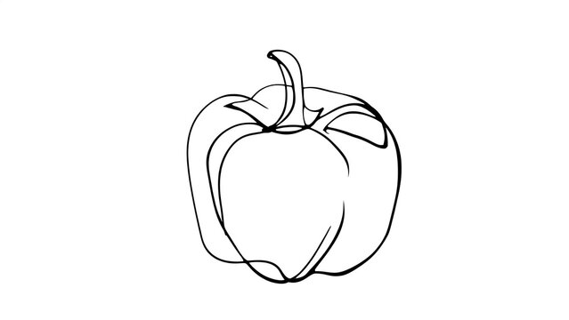 Hand drawn bell pepper illustration white background.