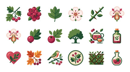 Hawthorn berry and leaf botanical icon set. © Zikzee
