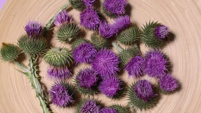 Milk thistle flowers on plate, top view