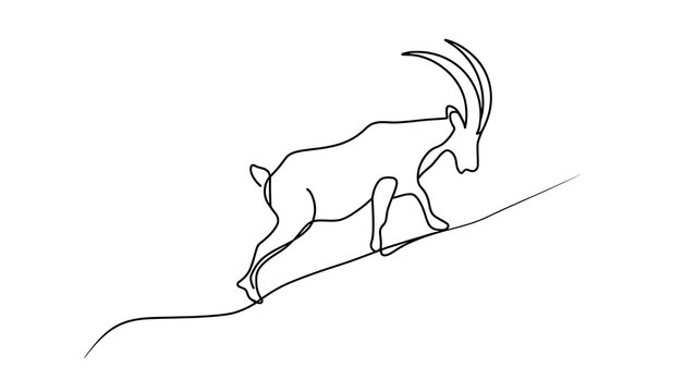 Minimalist goat line drawing on white background.