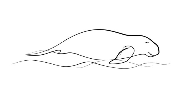 Minimalist line art manatee swimming white background.