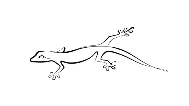 Minimalist lizard line art drawing white background.