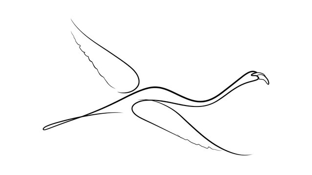 Minimalist bird drawing on white background.