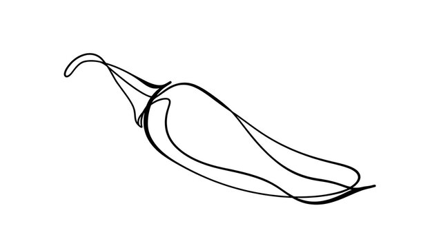 Hand drawn chili pepper illustration white background.