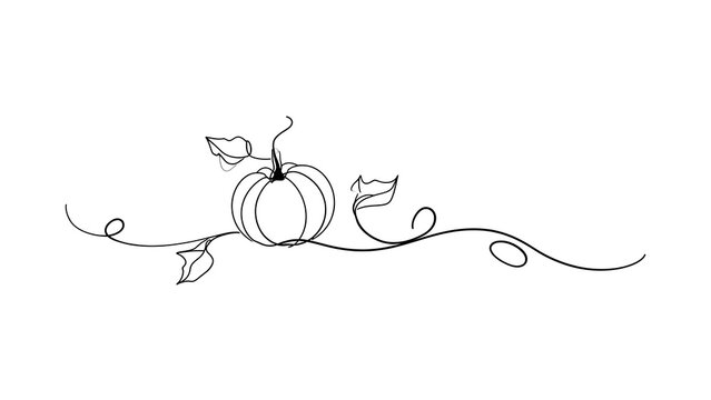Hand drawn pumpkin and leaves white background.