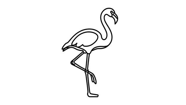 Minimalist flamingo line art illustration white background.