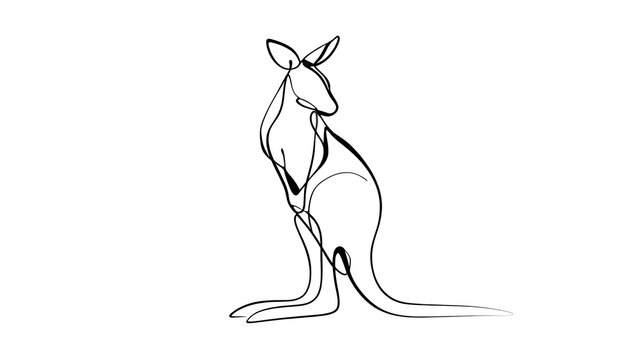 Minimalist kangaroo line art illustration white background.