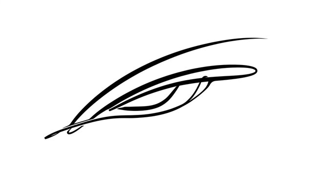 Elegant feather quill illustration white background.