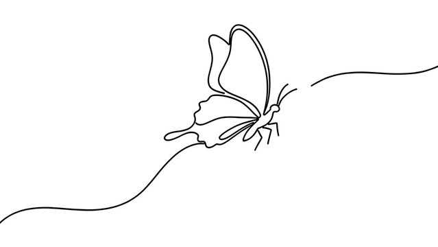 Minimalist butterfly line art white background.