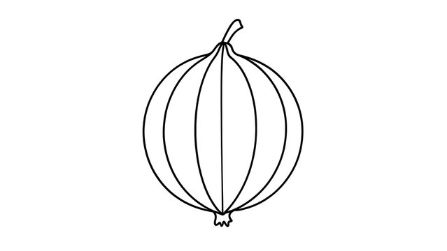 Simple onion line drawing white background.