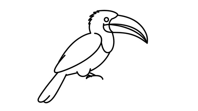 Toucan bird illustration on white background.