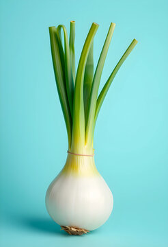 Fresh white spring onion with green stalks and roots, healthy cooking ingredient, isolated on a light blue background